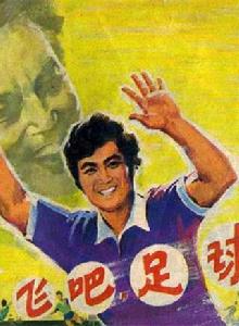 飛吧,足球 飛吧,足球