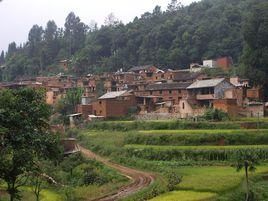 小板龍村 小板龍村