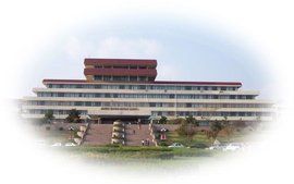 青島大學經濟學院 青島大學經濟學院