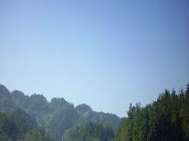 中寨村[貴州省畢節市織金縣中寨鄉下轄村]