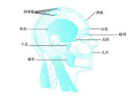 印堂[人體腧穴]