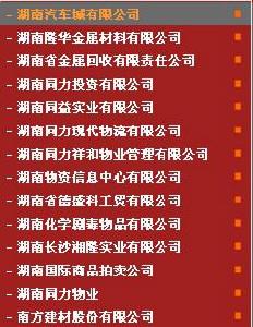 湖南新物產集團有限公司