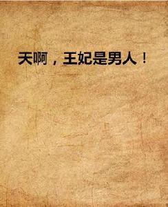 天啊,王妃是男人! 天啊,王妃是男人!