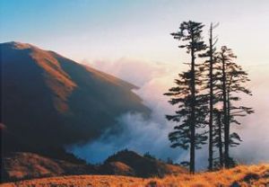 黑竹溝風景區 黑竹溝風景區