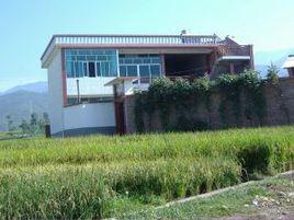 大禾村[江西省贛州市興國縣埠頭鄉大禾村]