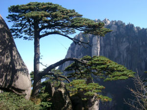 廣東南嶺國家級自然保護區 廣東南嶺國家級自然保護區