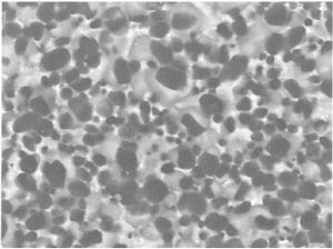 燒結驅動力 燒結驅動力