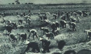 封建土地所有制