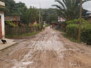 布下回顯村 布下回顯村