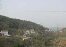 天王寺村 天王寺村