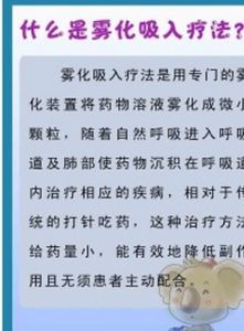 霧化吸入法 霧化吸入法