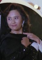 與龍共舞[1991年劉德華、張敏等主演電影]