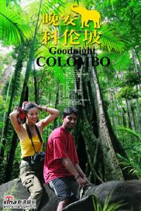 《晚安·科倫坡》