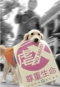 虐待動物 虐待動物
