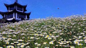 南昌市旅遊發展委員會