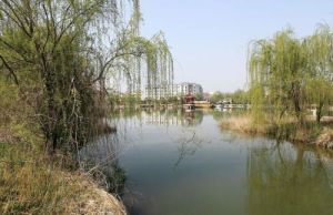 益林鎮人民公園