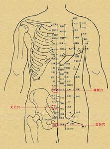 中醫經穴滲透特色療法 穴點陣圖