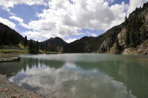 照壁山森林公園 照壁山森林公園
