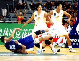 新浪獅籃球隊 新浪獅籃球隊