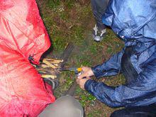 野營[軍事或體育訓練項目]