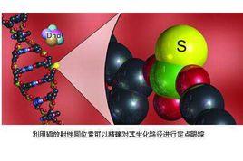 示蹤元素 示蹤元素