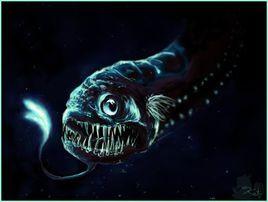 深海龍魚 深海龍魚