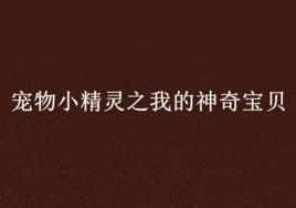 寵物小精靈之我的神奇寶貝 寵物小精靈之我的神奇寶貝