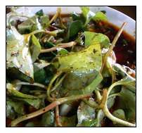 側耳根葉拌胡豆 側耳根葉拌胡豆