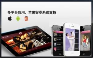 北京思勵格信息技術有限公司