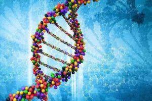 人類基因組編寫計畫