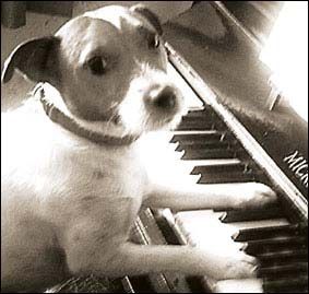 傑克·拉瑟梗 傑克·拉瑟梗