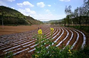 千陽縣高崖鎮山間川地