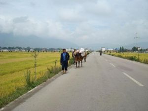 葛官營村 葛官營村