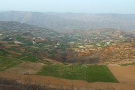 甘谷縣謝家灣鄉大坪村 甘谷縣謝家灣鄉大坪村