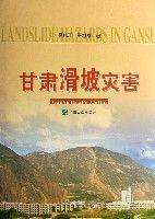 甘肅滑坡災害 甘肅滑坡災害