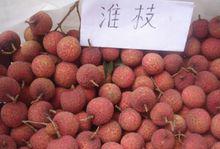 荔枝[水果類植物]