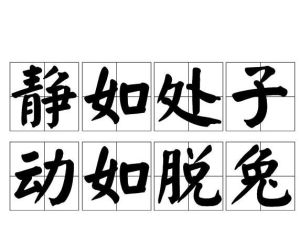 靜如處子，動如脫兔