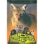 狼王閃電 狼王閃電