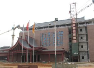 來賓市博物館 來賓市博物館