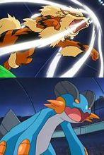 希爾斯的2隻寶可夢