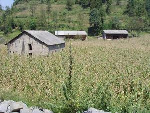 冒沙自然村 冒沙自然村