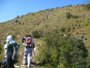 大霧嶺頂 大霧嶺頂