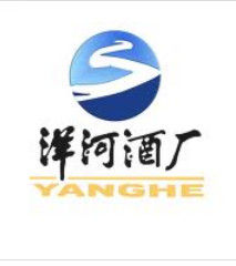 洋河大麯 洋河大麯