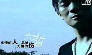 多情的人總被無情的傷