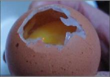 人造雞蛋蛋殼