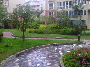 五彩點金苑 五彩點金苑