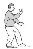 白鶴亮翅[太極招式]