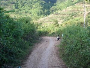 南西新村 南西新村