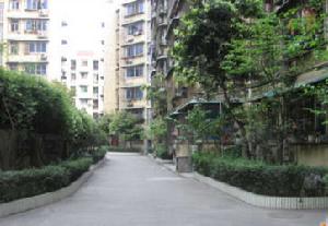 百花東街52號 百花東街52號