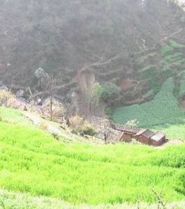 黑馬井村 黑馬井村